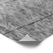 Poster Trois Amigos (Coin)