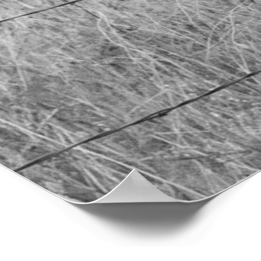 Poster Trois Amigos (Coin)