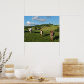 Poster Trois ânes dans une photographie de champ (Cuisine)