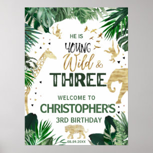 Poster Trois anniversaires de enfants de la jungle sauvag