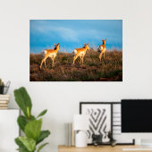 Poster Trois antilopes s'éloignant au coucher du soleil (Bureau à domicile)