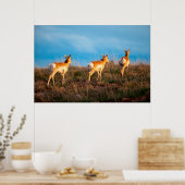 Poster Trois antilopes s'éloignant au coucher du soleil (Cuisine)