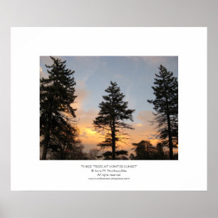 Poster Trois arbres au coucher du soleil hivernal