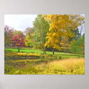 POSTER TROIS ARBRES : ROUGE ROSE ; JAUNE DORÉ ; VERT CITR