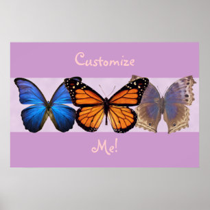 Poster Trois beaux papillons personnalisables