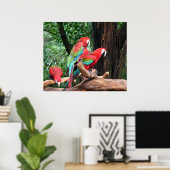 Poster Trois beaux perroquets rouges, verts et bleus (Bureau à domicile)