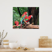 Poster Trois beaux perroquets rouges, verts et bleus (Cuisine)