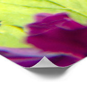 Poster Trois belles violettes photo (Coin)