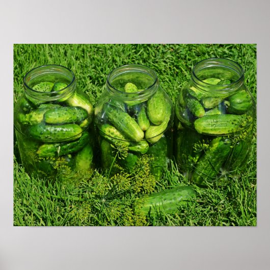 Poster Trois bocaux remplis de concombres entiers (Devant)