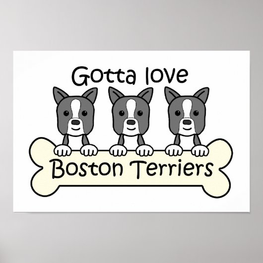 Poster Trois Boston Terriers (Devant)