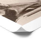 Poster Trois Braves indiens, photographiés par le Royal E (Coin)