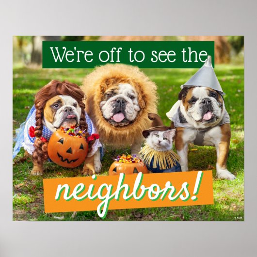 Poster Trois Bulldogs en costumes (Devant)