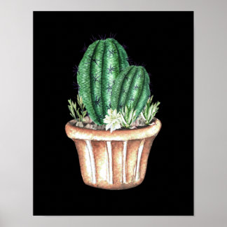Poster Trois cactus en pot