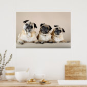 Poster Trois Carlins De Ligne (Cuisine)