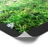 Poster Trois Cerfs-Bébés amicaux (Coin)