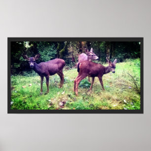 Poster Trois Cerfs-Bébés amicaux