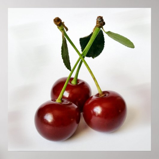 Poster trois cerises aigre (Devant)