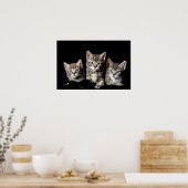 Poster Trois chatons de Junglewalk.com (Cuisine)