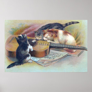 Poster Trois chatons et une illustration de cru de