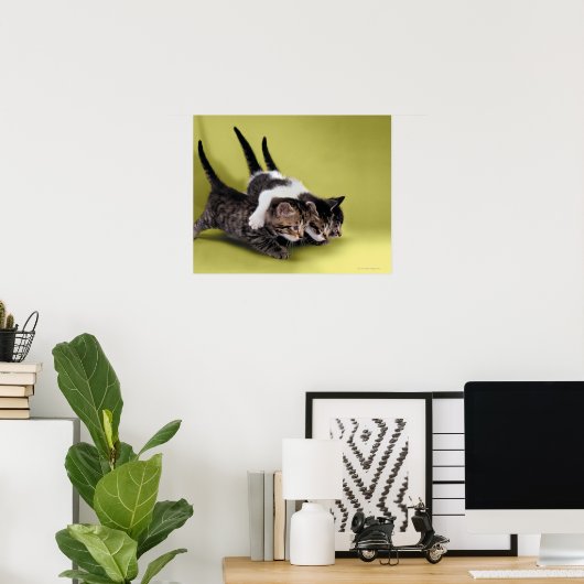 Poster Trois chatons se serrant dans leurs bras (Bureau à domicile)