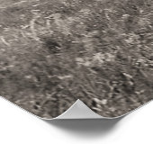 Poster Trois chefs Blackfoot (Coin)