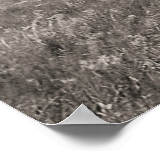 Poster Trois chefs Blackfoot (Coin)