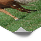 Poster Trois chevaux (Coin)