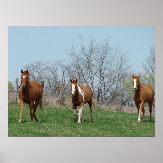 Poster Trois chevaux (Devant)