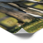 Poster Trois Chevaux De Peinture Se Trouvent Ensemble (Coin)