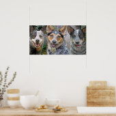 Poster Trois chiens de bétail australiens (Cuisine)