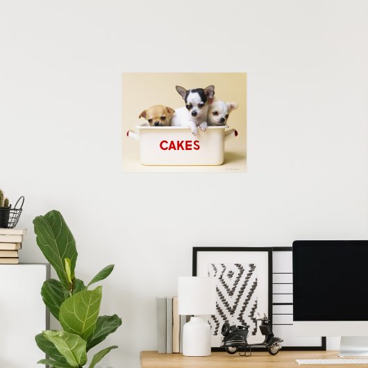 Poster Trois chihuahua chippies en boîte à gâteau (Bureau à domicile)