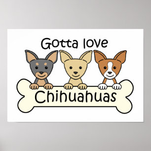 Poster Trois Chihuahuas