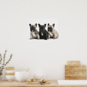 Poster Trois Chiots Pedigree (Cuisine)