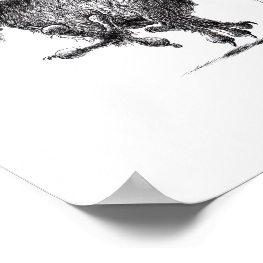 Poster Trois Chouettes folles - Corujas - Chouette blanch (Coin)