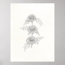 Trois chrysanthèmes Imprimer