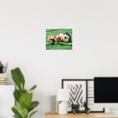 Poster Trois cochons de Guinée mignons en rang mangeant d (Bureau à domicile)