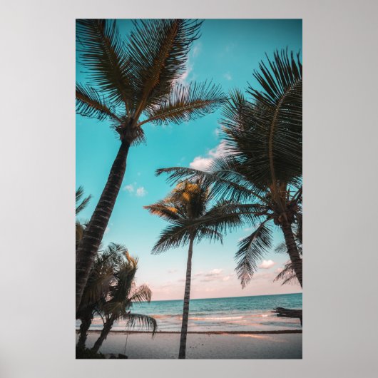Poster Trois cocotiers en bord de mer (Devant)
