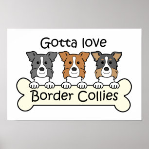 Poster Trois colleys de frontière
