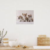 Poster Trois Corgi gallois (Cuisine)