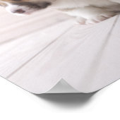 Poster Trois Corgi gallois (Coin)