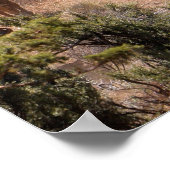 Poster Trois cowboys et cowgirls conduisant du bétail (Coin)