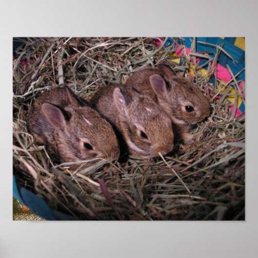 Poster Trois d'affilée (Devant)