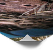 Poster Trois d'affilée (Coin)