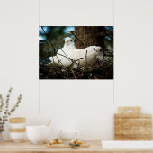 Poster Trois dans un arbre (Cuisine)