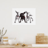 Poster Trois Drôle Cheeky Sheep (Cuisine)