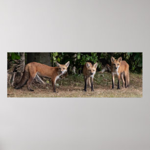 Poster Trois D'Un Genre