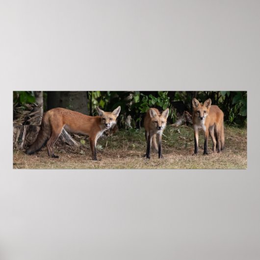 Poster Trois D'Un Genre (Devant)