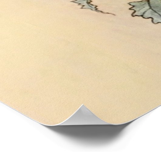 Poster "Trois esprits fous de joie" par Warwick Goble (Coin)