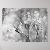 Poster Trois fleurs à l'arbre (Devant)