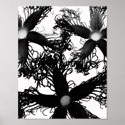 Poster Trois fleurs noires (Devant)